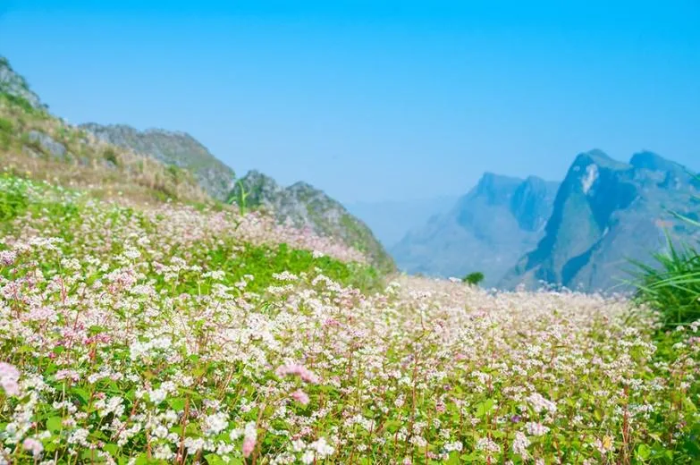 Thư viện ảnh