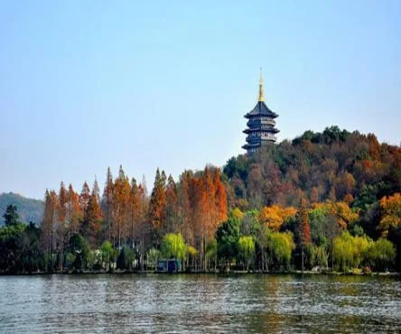 Thư viện ảnh