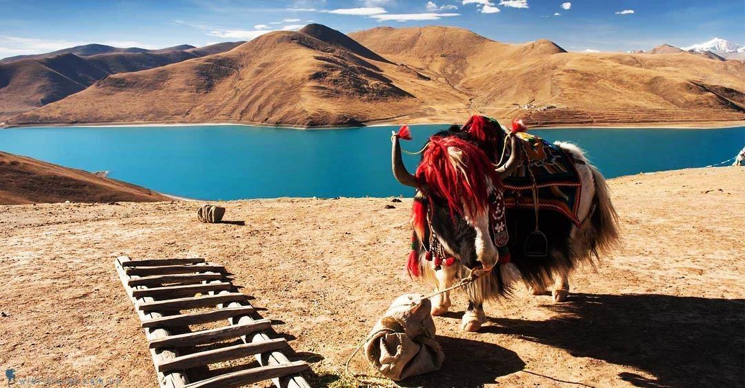 NGÀY 05: LHASA – ĐÈO GAMBALA – DƯƠNG THÁNH HỒ – SÔNG BĂNG VĨNH CỬU –
