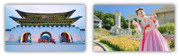 NGÀY 03: SEOUL – ĐẢO NAMI – PAINTER HERO SHOW (Ăn sáng/ trưa/ tối)