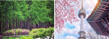 HÀN QUỐC: SEOUL - NAMI - EVERLAND 5N4Đ [T]