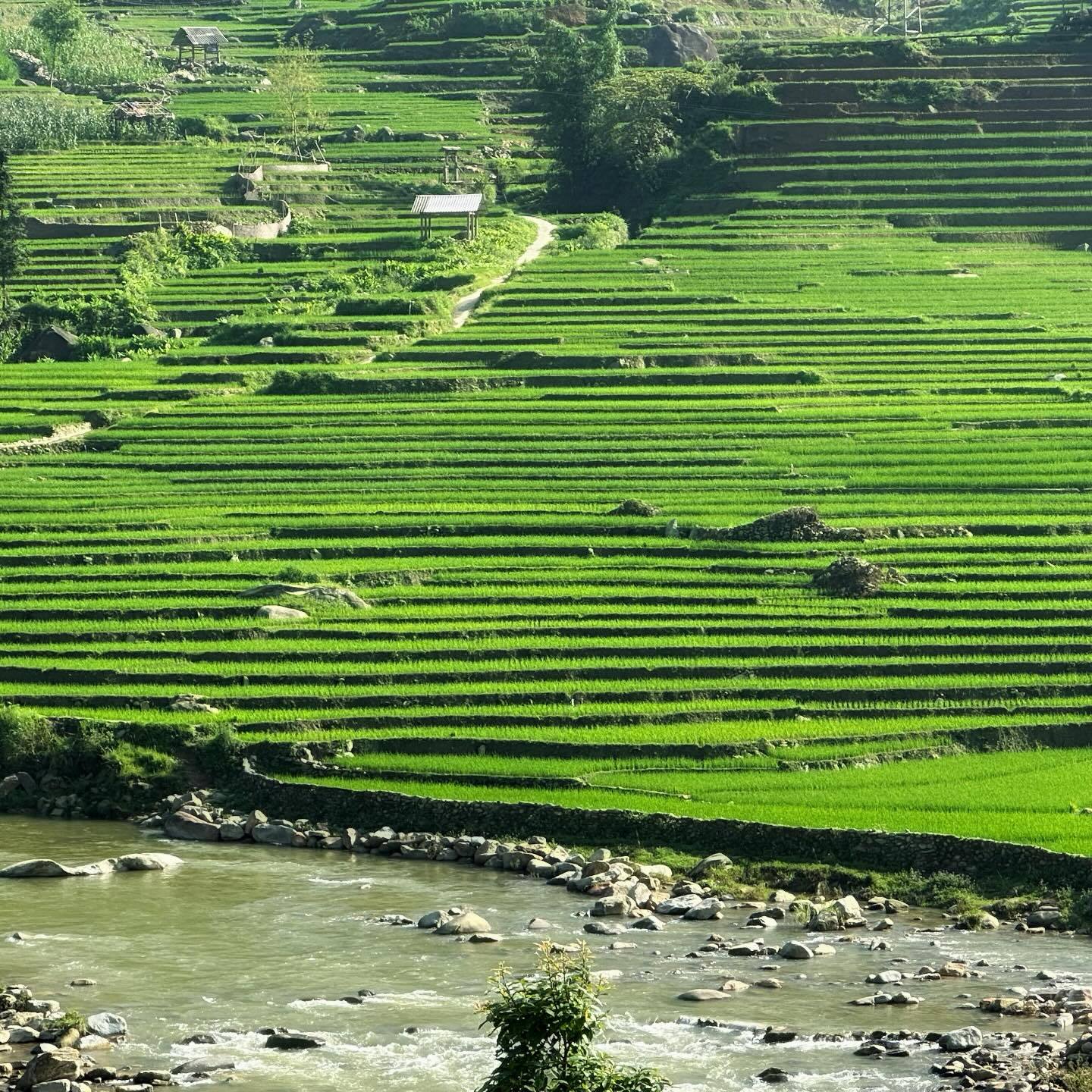 TẢ VAN (SAPA) - NÉT ĐẸP BÌNH YÊN GIỮA THUNG LŨNG MƯỜNG HOA