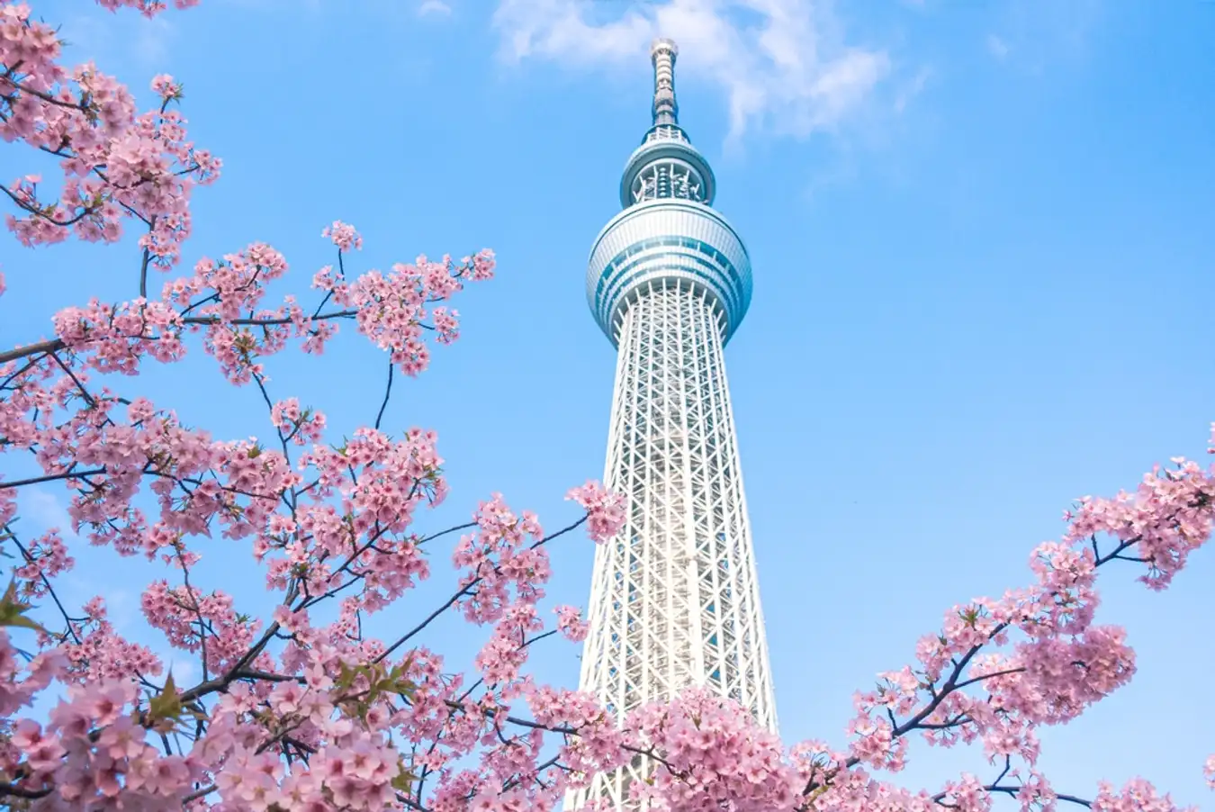 THÁP TOKYO SKYTREE – BIỂU TƯỢNG CỦA TOKYO HIỆN ĐẠI