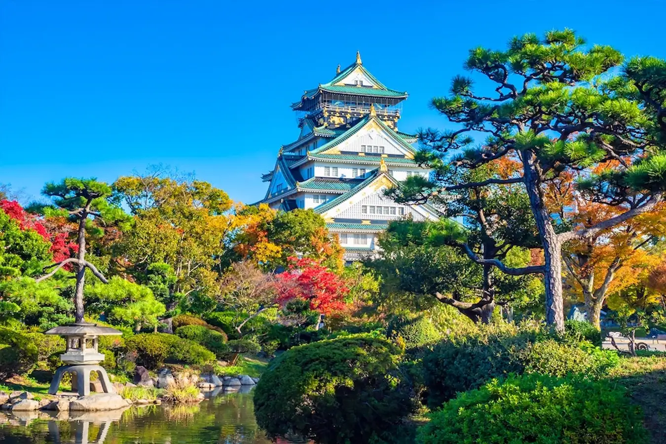 Lâu Đài Osaka – Biểu Tượng Giữa Thành Phố Sôi Động