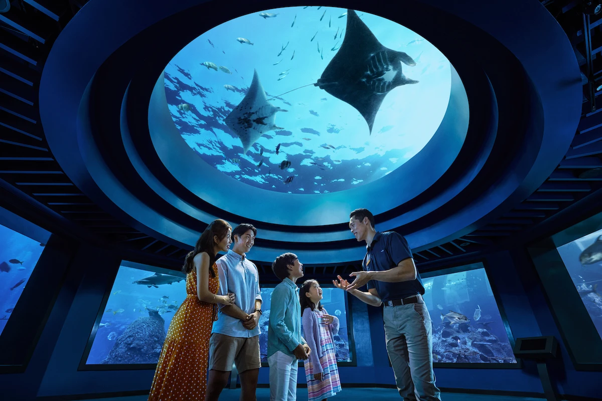 Thủy Cung S.E.A Aquarium Singapore – Trải Nghiệm Đại Dương