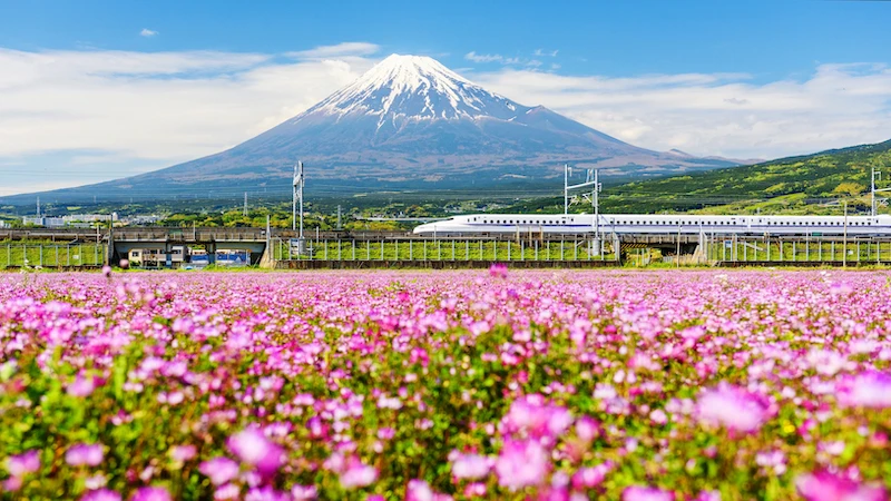 NGÀY 03: TOKYO – YAMANASHI - NÚI PHÚ SĨ	(Ăn sáng/ trưa/ tối)