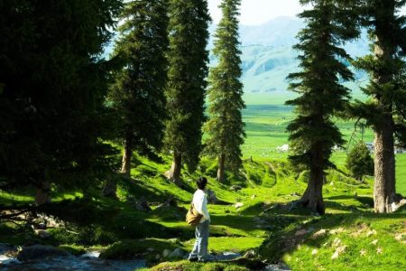 NALATI – ‘VIÊN NGỌC XANH’ CỦA TÂN CƯƠNG