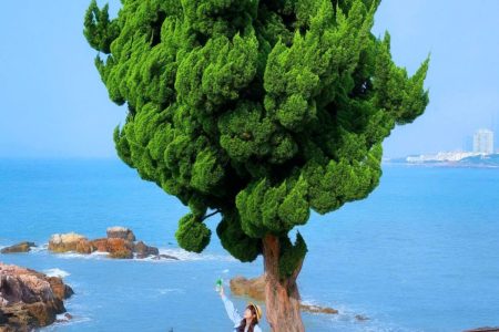 KHÁM PHÁ THANH ĐẢO – TẾ NAM MÙA HÈ: THIÊN ĐƯỜNG BIỂN & SUỐI NGỌT TRUNG HOA