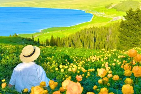 TÂN CƯƠNG MÙA HOA DẠI: THIÊN ĐƯỜNG HOA NỞ GIỮA THẢO NGUYÊN BẤT TẬN