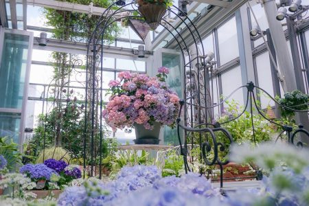 VƯỜN HOA CẨM TÚ CẦU TRÊN KHÔNG GIỮA LÒNG GINZA TOKYO – ĐIỂM CHECK-IN MÙA HÈ ĐỘC ĐÁO